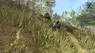 热血传奇角色养成：新手到大神的成长路线全攻略