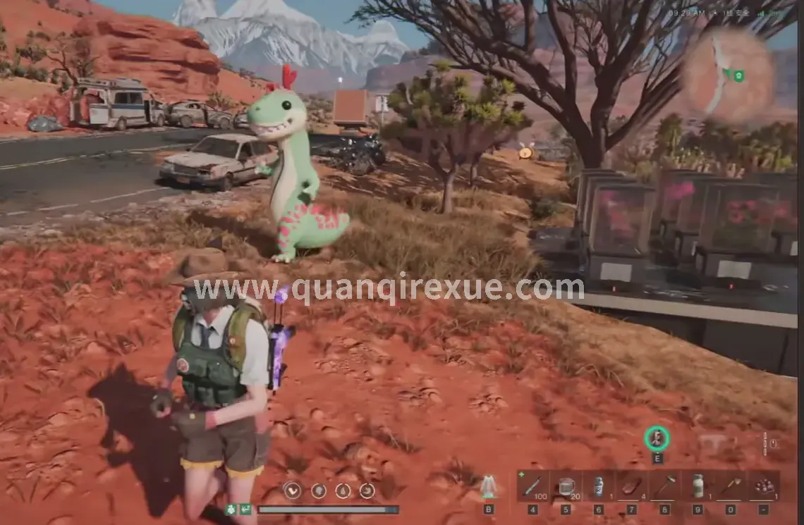 成长路线,升级攻略